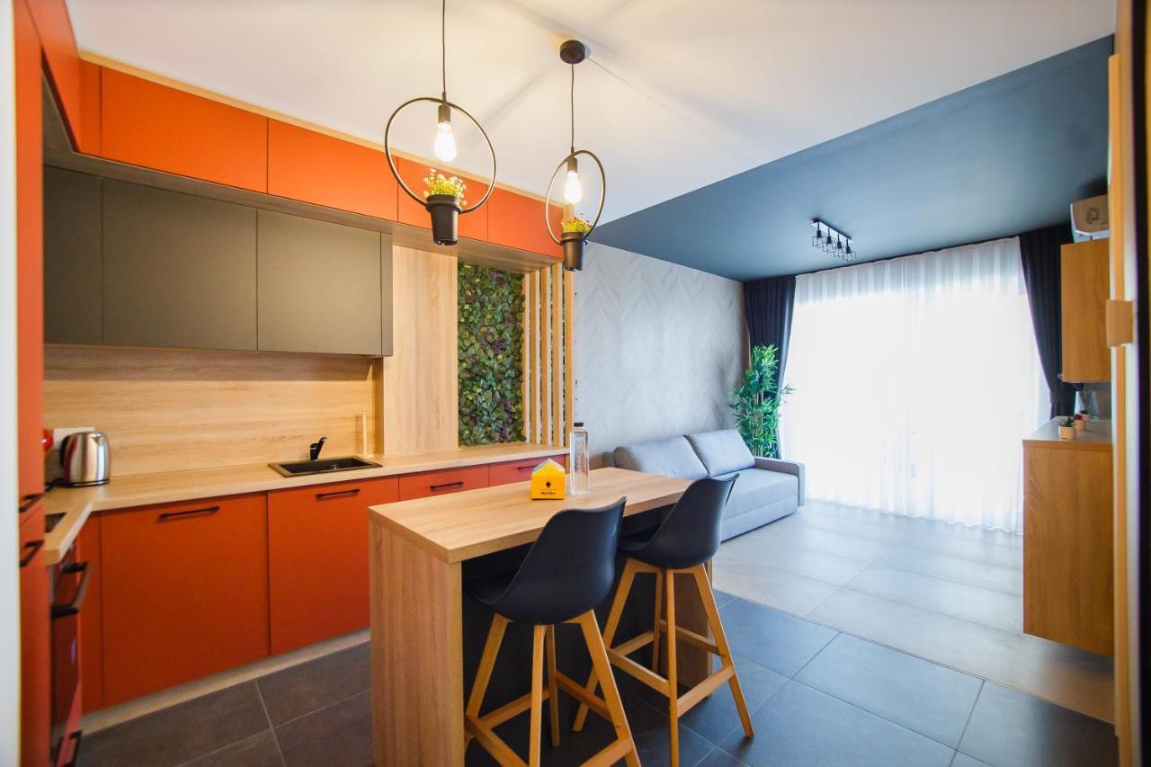 Duo Vibe Apartment Oradea Zewnętrze zdjęcie
